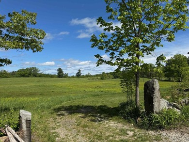 Welcome to Violette Estates! This beautiful new condo is ready - photo 51