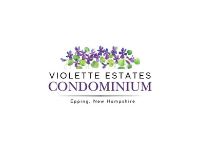 Welcome to Violette Estates! This beautiful new condo is ready - photo 55