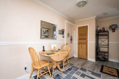 Newly renovated, beautifully updated co-op ideally located near - photo 11