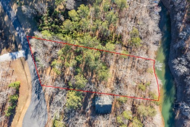 Smith Lake:  Stoney Point - The gated community of Stoney Pointe - Lake Lot For Sale in Double Springs, Alabama