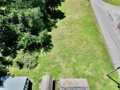 Level, buildable lot just a brief stroll from Lake Hudson - photo 15