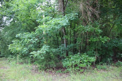 Lake Lot For Sale in Lakeview, Arkansas