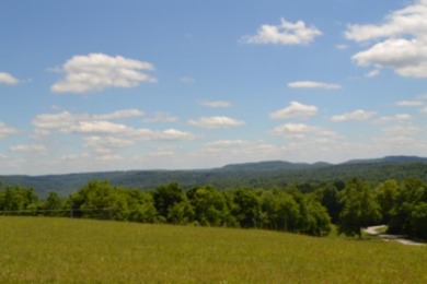 0.74 AC WITH LAKE & MTN VIEWS -- TOTALLY OPEN & LEVEL - photo 13