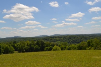 0.74 AC WITH LAKE & MTN VIEWS -- TOTALLY OPEN & LEVEL - photo 17