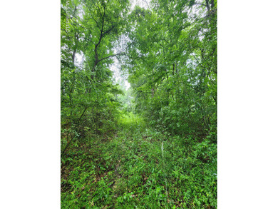 (private lake, pond, creek) Acreage For Sale in Natchez Mississippi