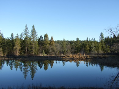 (private lake, pond, creek) Home For Sale in Oak Run California