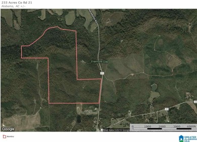 233+/- Acres Hunting or Cabin Sites. Multiple Homes Sites along - Lake Acreage For Sale in Ashville, Alabama