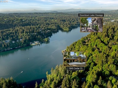 Experience luxury lakefront living at its finest on Oswego Lake - photo 46