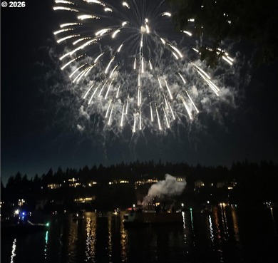 Experience luxury lakefront living at its finest on Oswego Lake - photo 47