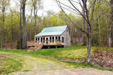 Lake Home For Sale in Newport, Maine