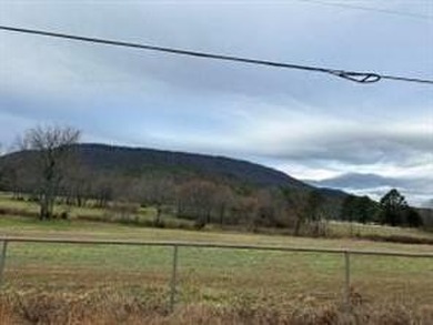 (private lake, pond, creek) Acreage For Sale in Dardanelle Arkansas