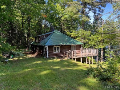 Lake Michigamme Home For Sale in Michigamme Michigan