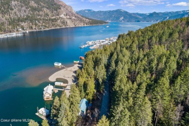 Lake Home Off Market in Bayview, Idaho