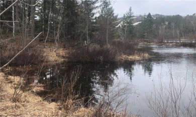 Wynne Lake Acreage For Sale in Biwabik Minnesota