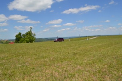 0.74 AC WITH LAKE & MTN VIEWS -- TOTALLY OPEN & LEVEL - photo 14