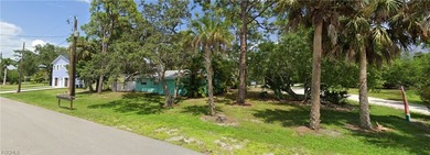 Exceptional opportunity to own a large Gulf-access parcel in the - photo 12