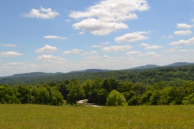 0.74 AC WITH LAKE & MTN VIEWS -- TOTALLY OPEN & LEVEL - photo 12
