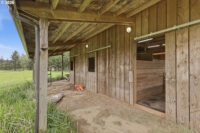 Incredibly serene 37.14 acre property, 3 bed 2 bath 2,254 sqft - photo 22