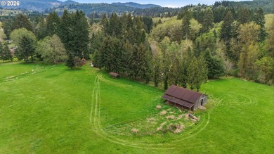 Incredibly serene 37.14 acre property, 3 bed 2 bath 2,254 sqft - photo 31