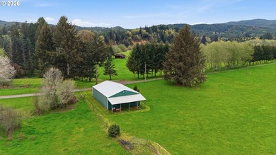 Incredibly serene 37.14 acre property, 3 bed 2 bath 2,254 sqft - photo 39