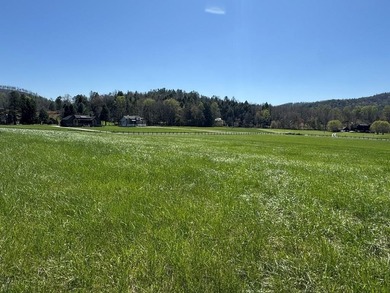 Toccoa River - Fannin County Acreage For Sale in Suches Georgia