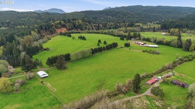 Incredibly serene 37.14 acre property, 3 bed 2 bath 2,254 sqft - photo 41