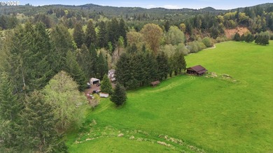 Incredibly serene 37.14 acre property, 3 bed 2 bath 2,254 sqft - photo 44
