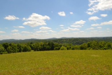 0.74 AC WITH LAKE & MTN VIEWS -- TOTALLY OPEN & LEVEL - photo 18
