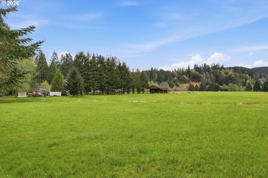 Incredibly serene 37.14 acre property, 3 bed 2 bath 2,254 sqft - photo 46