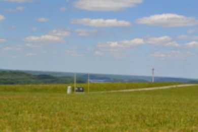 0.74 AC WITH LAKE & MTN VIEWS -- TOTALLY OPEN & LEVEL - photo 15