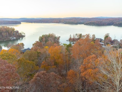 This is first tier, ''huge Sunset View'' lot available in Indian - photo 7