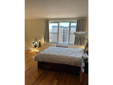 Sunny and airy huge jr.4. Updated kitchen and bath, hardwood - photo 3