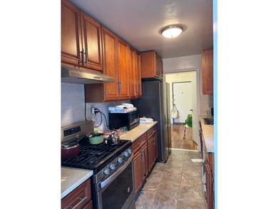 Sunny and airy huge jr.4. Updated kitchen and bath, hardwood - photo 6