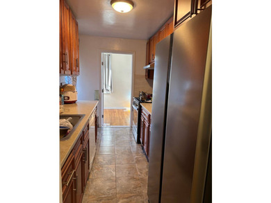 Sunny and airy huge jr.4. Updated kitchen and bath, hardwood - photo 9