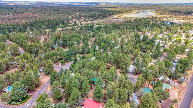 Located in the highly desirable Fools Hollow Lake Resort - photo 21
