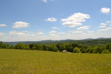0.74 AC WITH LAKE & MTN VIEWS -- TOTALLY OPEN & LEVEL - photo 11