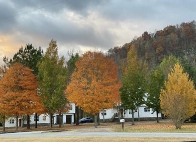 White River Home For Sale in Mountain View Arkansas