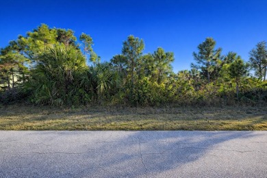 Port Charlotte Waterway Area Lot For Sale in Port Charlotte Florida