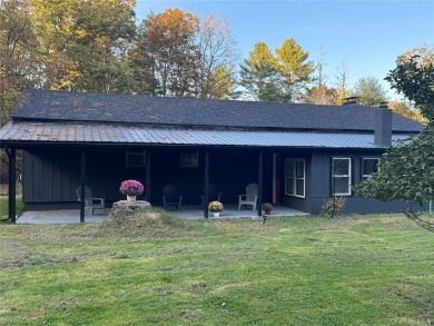 Lake Home For Sale in Narrowsburg, New York