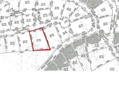 0.74 AC WITH LAKE & MTN VIEWS -- TOTALLY OPEN & LEVEL - photo 22