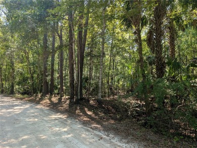 Withlacoochee River Lot For Sale in Hernando Florida