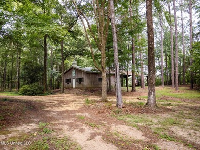 Built in 2007 this Residence was featured in Mississippi - photo 50