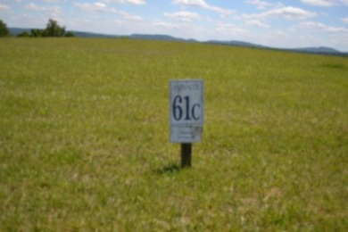 0.74 AC WITH LAKE & MTN VIEWS -- TOTALLY OPEN & LEVEL - photo 1