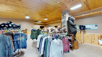 4.77-acre multi-use site on Hwy 53 with ample parking for - photo 16