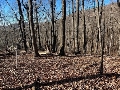 Lake Tamarack Lot For Sale in Jasper Georgia