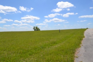 0.74 AC WITH LAKE & MTN VIEWS -- TOTALLY OPEN & LEVEL - photo 6