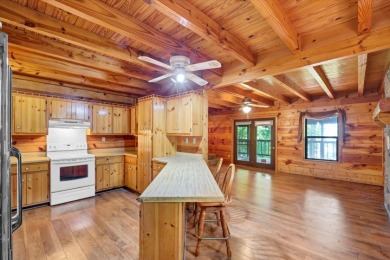Rustic Lake Home With Easy Lake Access & Dock - photo 15