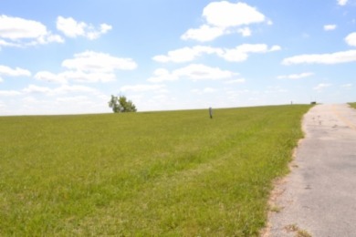0.74 AC WITH LAKE & MTN VIEWS -- TOTALLY OPEN & LEVEL - photo 5