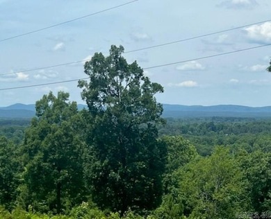 Beautiful Home with Awesome Views!! This 2,091+/- SF 2 Bedroom - photo 3