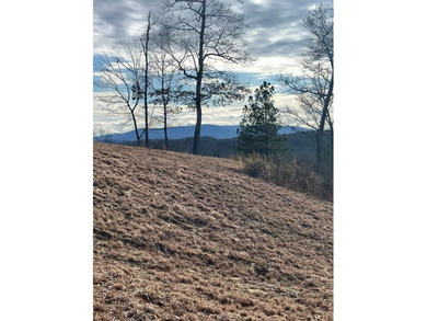 Toccoa River - Fannin County Lot For Sale in Mineral Bluff Georgia